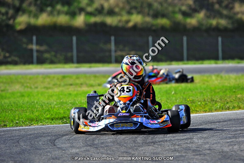 DSC_ (1743).jpg